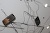 Future Imaginary exhibition image